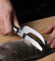 Multifunctional Fish Scale Remover